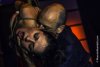 BOUND-Rope-Jam-2012-Manolo-Remiddi-11