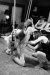 Blurred-and-resized-7964