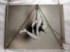 .Cent zentai shibari shoot