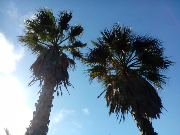 A new type of shibari tutorial