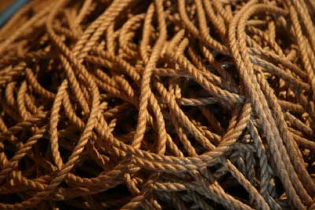 Everything for Japanese rope bondage