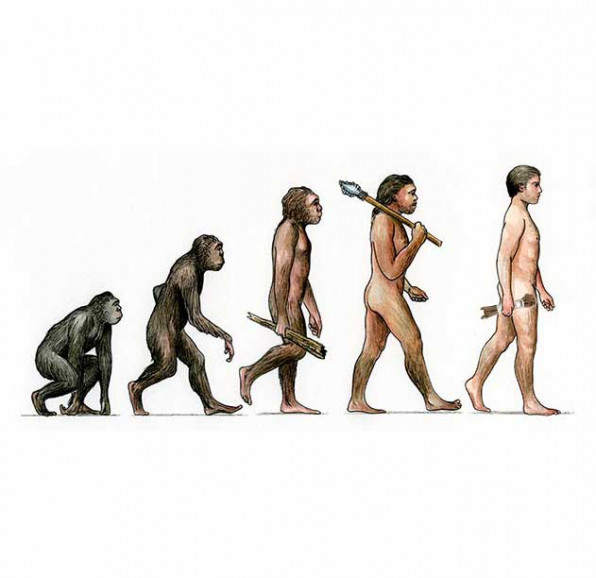 Evolution of kinbaku